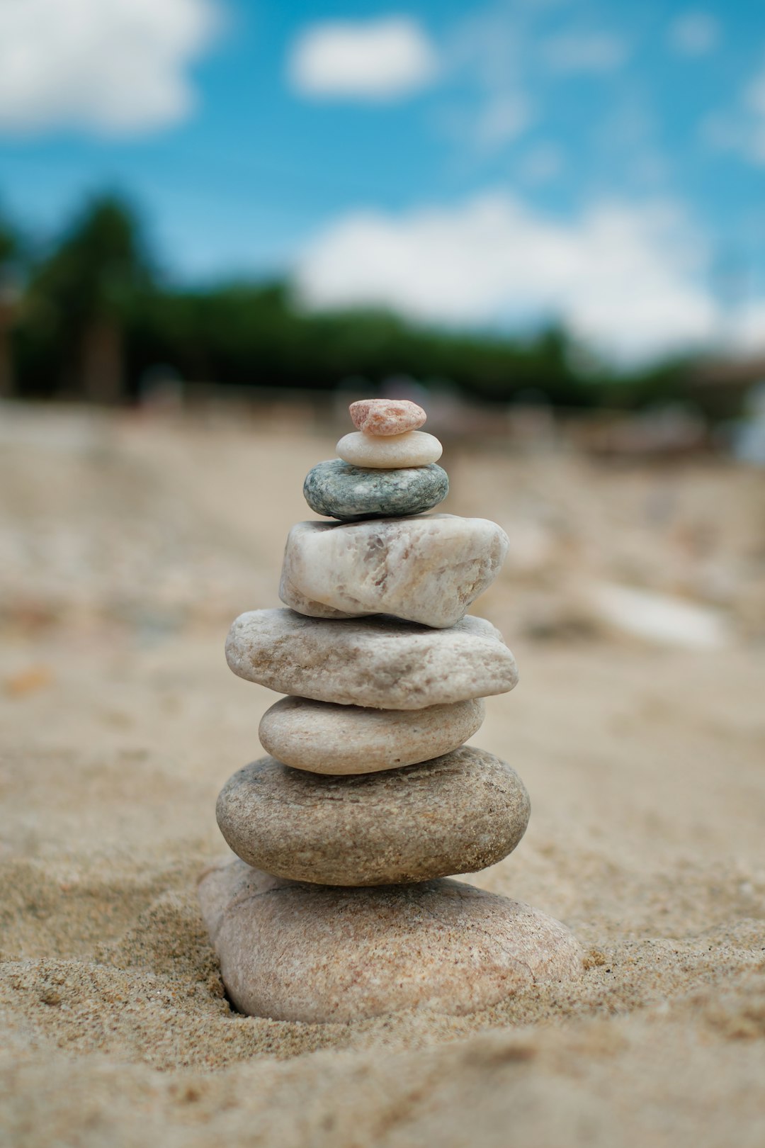 Dieta equilibrada imagen 3